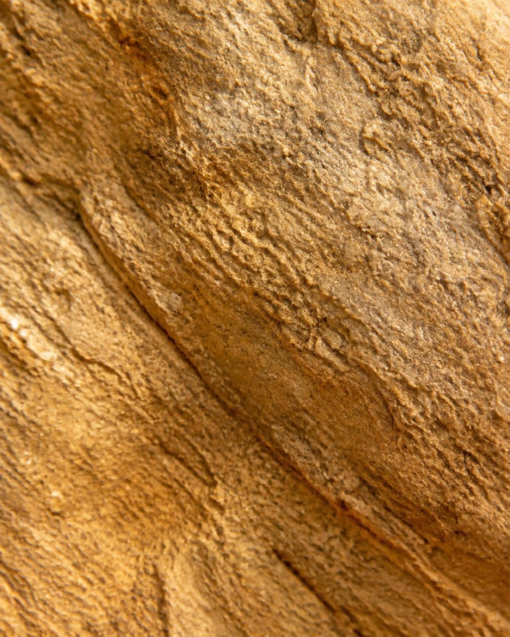 Golden sandstone in warm light